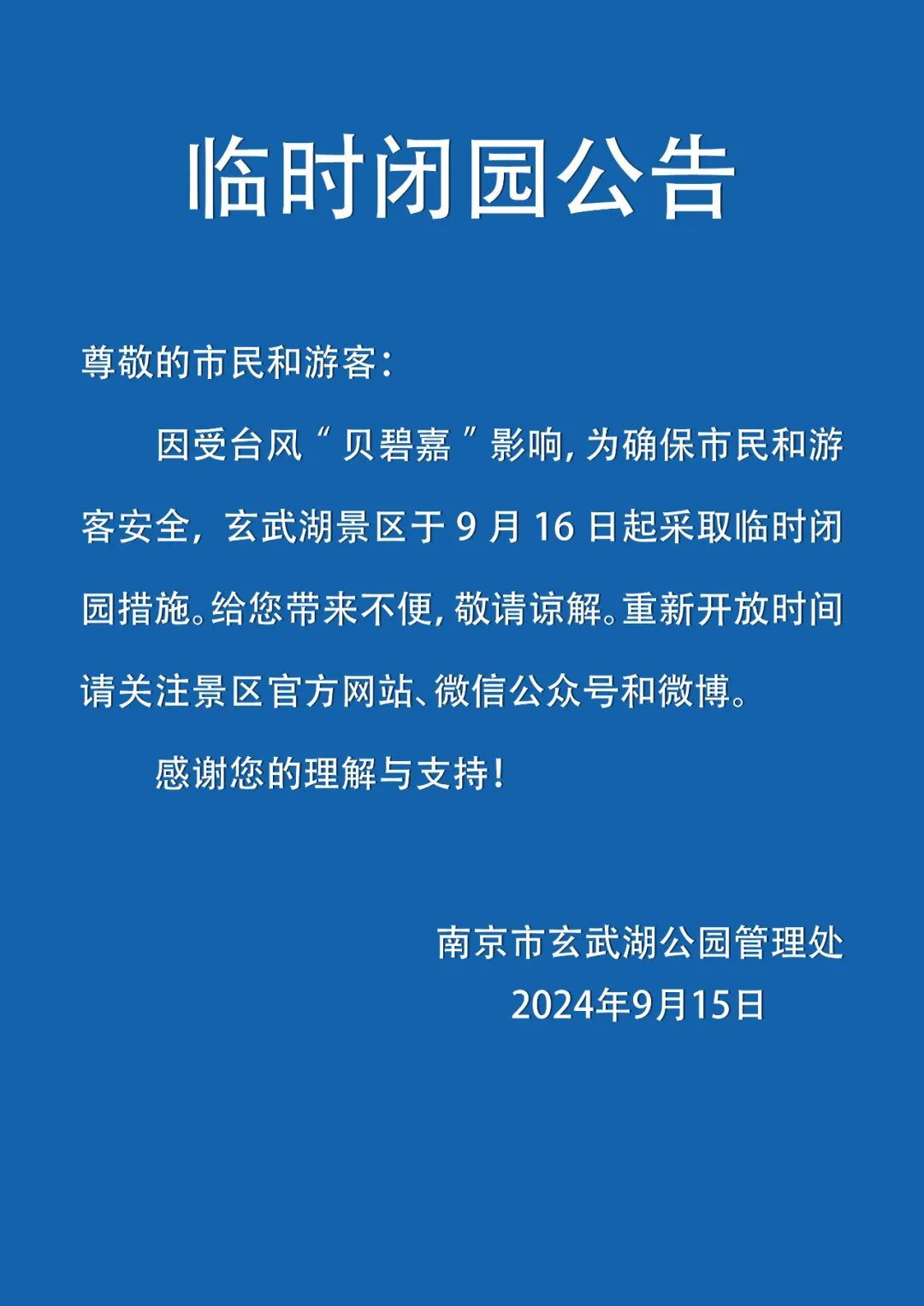 万达电影股份有限公司 2025年第一次临时股东大会决议公告